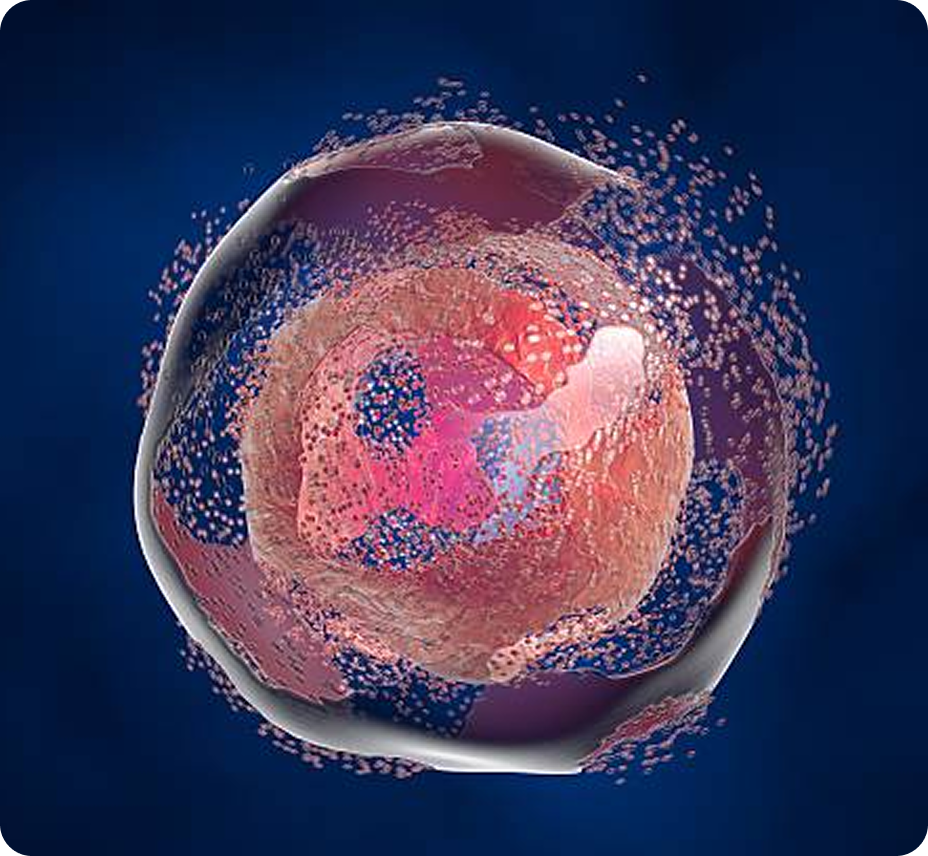 Chemical Catalog Overview