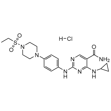 Cerdulatinib HCl