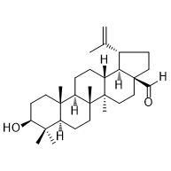 Betulinicaldehyde