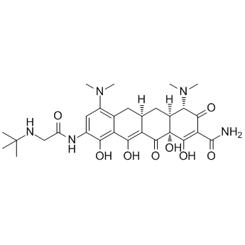 Tigecycline