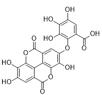 Valoneic Acid Dilactone