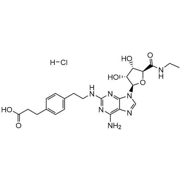 CGS 21680 Hydrochloride