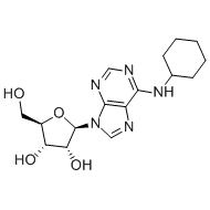 N6-Cyclohexyladenosine