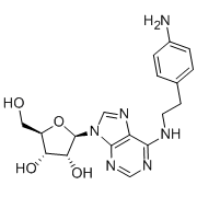 N-[2-(4-Aminophenyl)ethyl]-adenosine