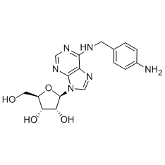 N-[(4-Aminophenyl)methyl]adenosine