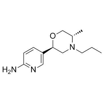 α1 adrenoceptor-MO-1