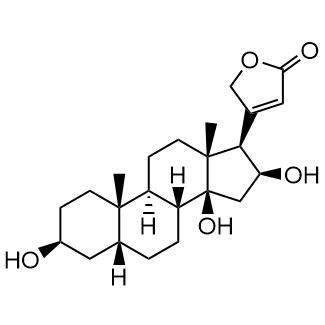 Gitoxigenin